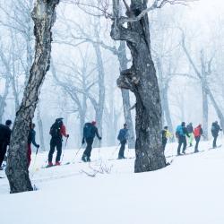 Фото №5 НЕДЕЛЬНЫЙ SNOW MIX НА КАМЧАТКЕ